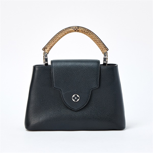 LOUIS VUITTON カプシーヌBB ハンドバッグ N92040 ブラック ブラウン シルバー レザー