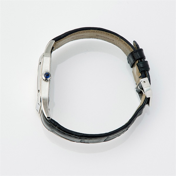 Cartier サントスデュモン WSSA0022 クオーツ 腕時計 LM シルバー文字盤 シルバー SS レザーの画像1