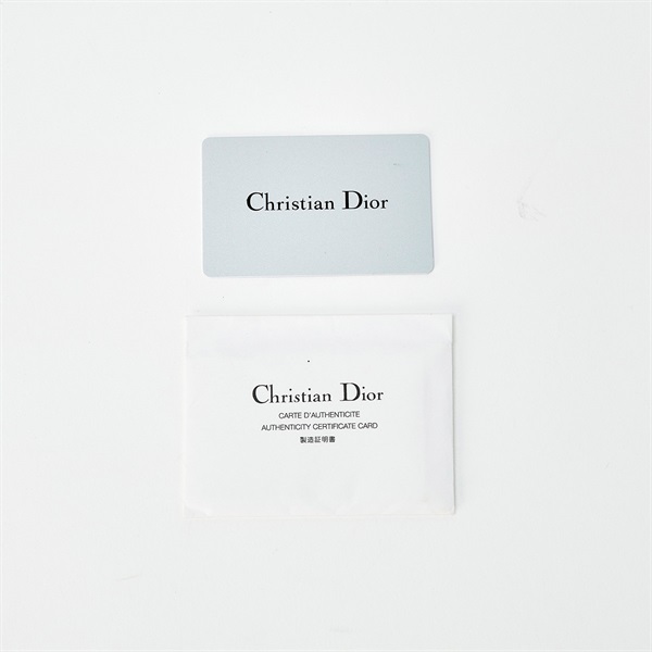 Christian Dior ショルダーバッグ ベージュ シルバー ナイロンの画像8