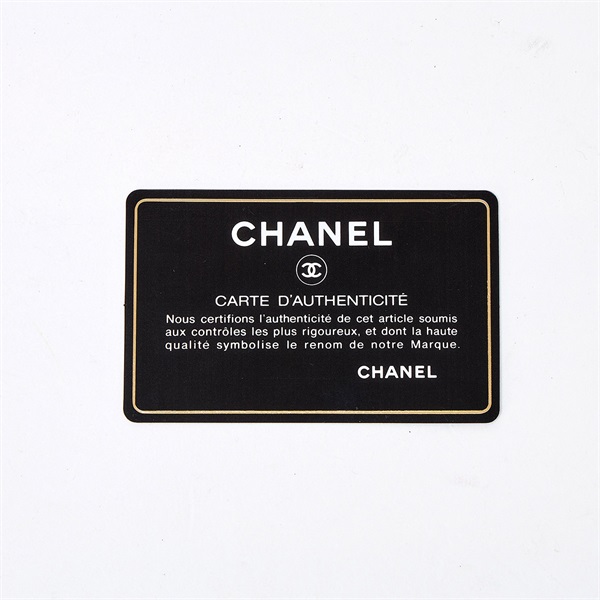 CHANEL ドーヴィル トートバッグ ブラウンベージュ シルバー キャンバスの画像6