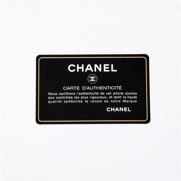 CHANEL パリビアリッツ 11番台 PM トートバッグ ブラック シルバー コーティングキャンバスの画像7