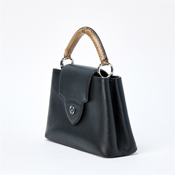 LOUIS VUITTON カプシーヌBB ハンドバッグ N92040 ブラック ブラウン シルバー レザーの画像1