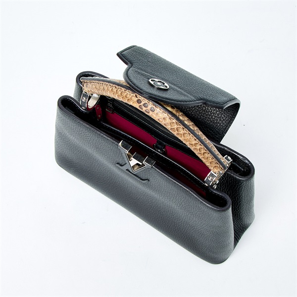 LOUIS VUITTON カプシーヌBB ハンドバッグ N92040 ブラック ブラウン シルバー レザーの画像7