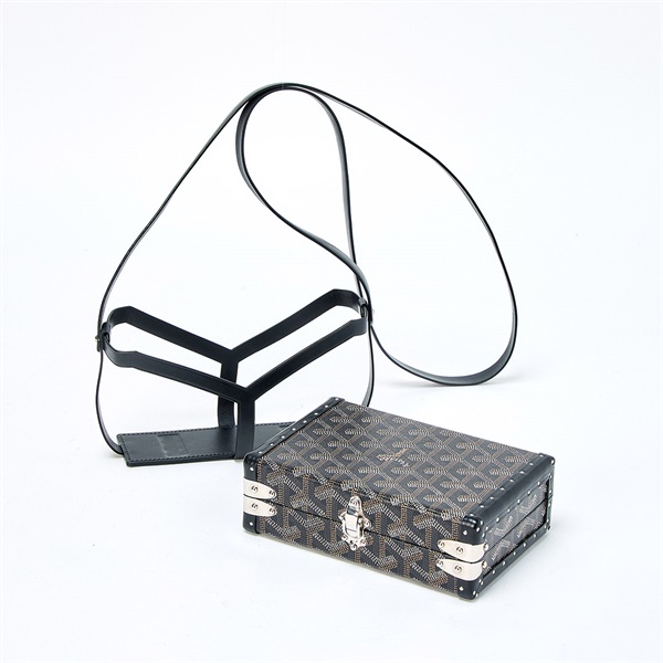 GOYARD ミノディエールトランクバッグ  ショルダーバッグ ブラック ブラウン シルバー PVCの画像5